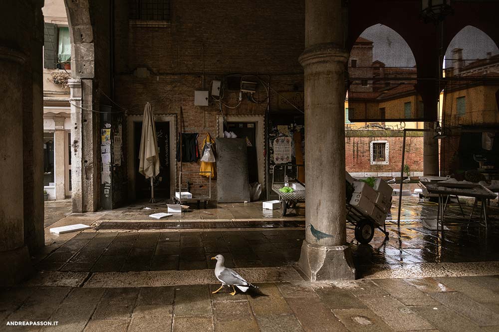Street Photography a Venezia in Veneto - Fotografo professionista a Venezia, Treviso e Padova