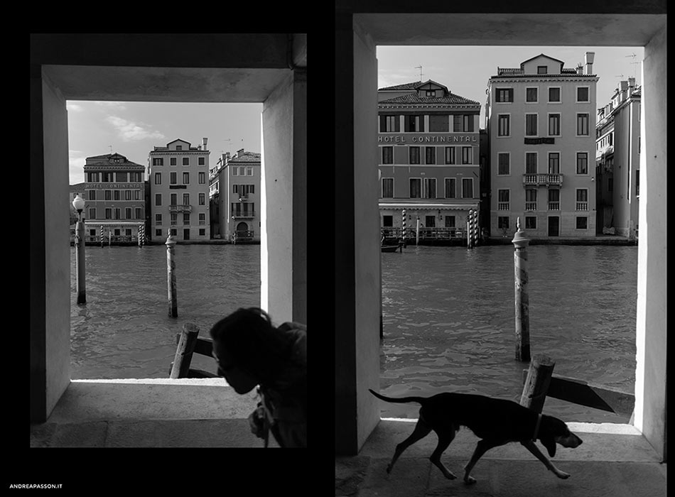 Street Photography a Venezia - Canal Grande - Uomo - Cane